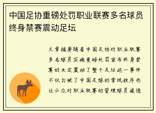 中国足协重磅处罚职业联赛多名球员终身禁赛震动足坛