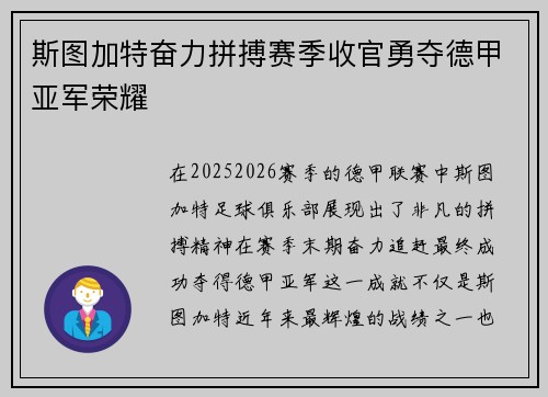 斯图加特奋力拼搏赛季收官勇夺德甲亚军荣耀